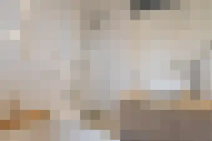 De Nielt 80 Cuijk thumbnail 25