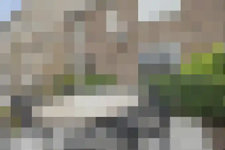 De Nielt 80 Cuijk thumbnail 28