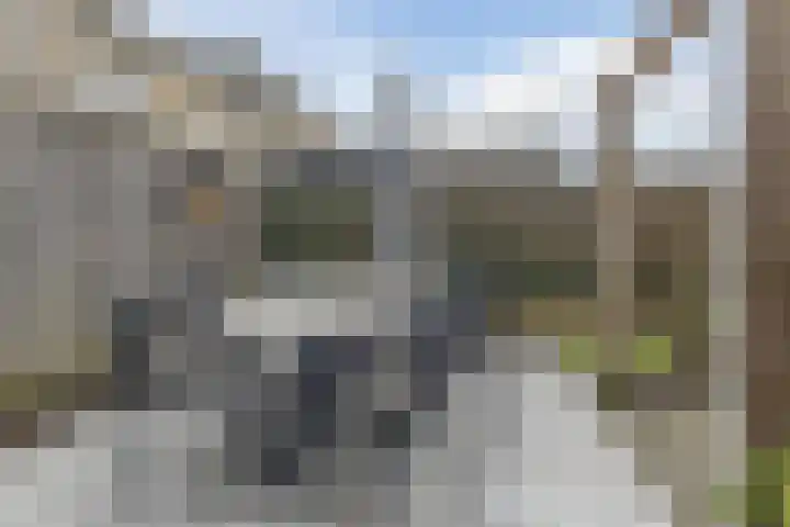 De Nielt 80 Cuijk thumbnail 33