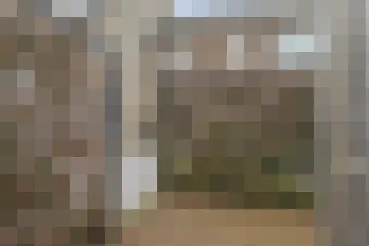 De Nielt 80 Cuijk thumbnail 34