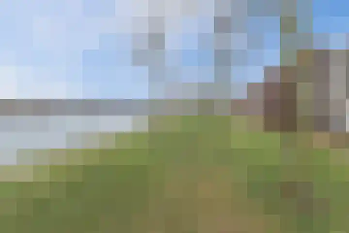 De Nielt 80 Cuijk thumbnail 37