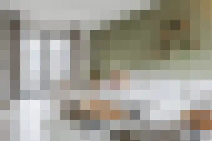 De Nielt 80 Cuijk thumbnail 6