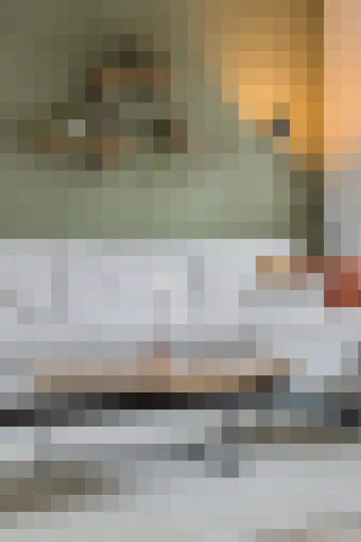 De Nielt 80 Cuijk thumbnail 7
