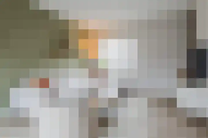 De Nielt 80 Cuijk thumbnail 8