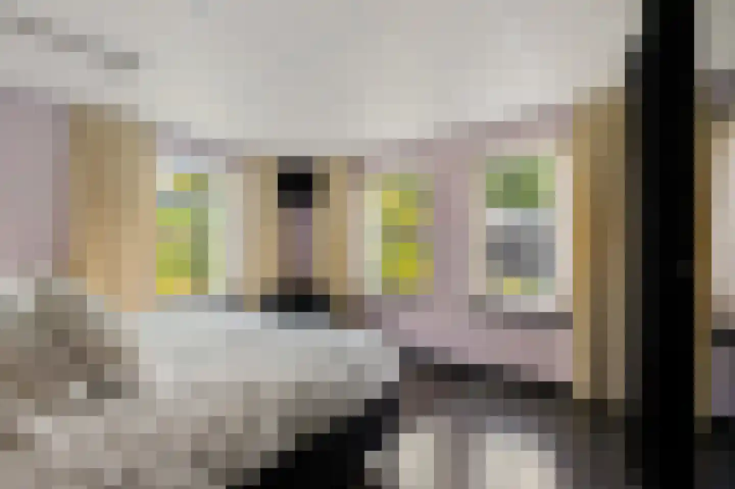De Noesten 10 Westerbork thumbnail 24