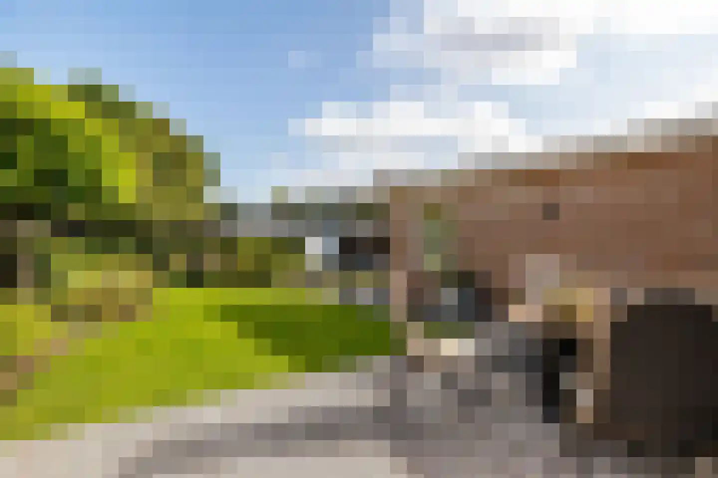 De Noesten 10 Westerbork thumbnail 42