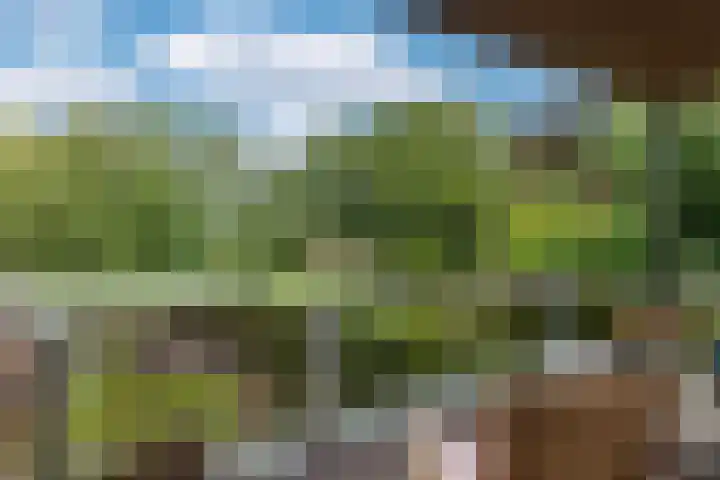 de Noord 19 Blaricum thumbnail 10