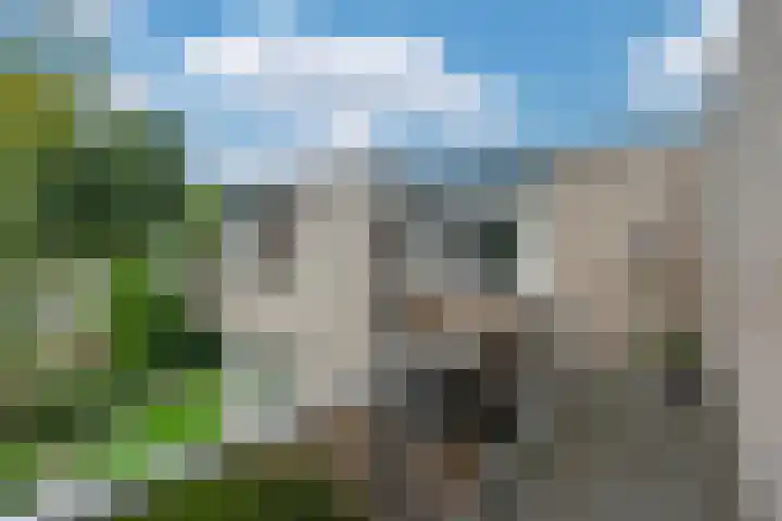 de Noord 19 Blaricum thumbnail 19