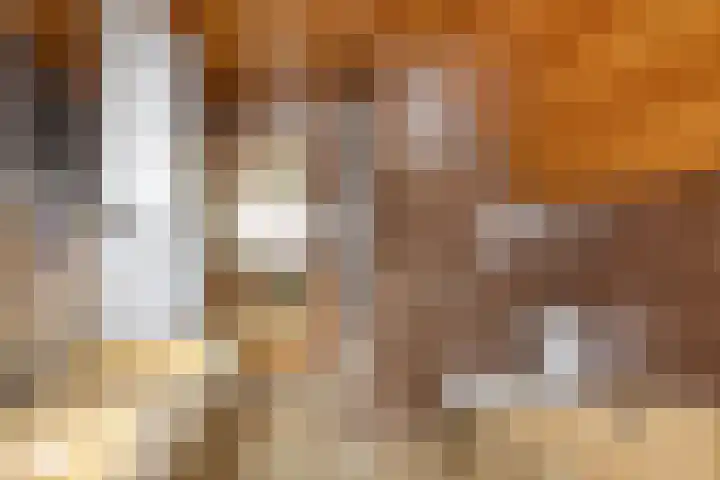 De Noord 27 Ilpendam thumbnail 28