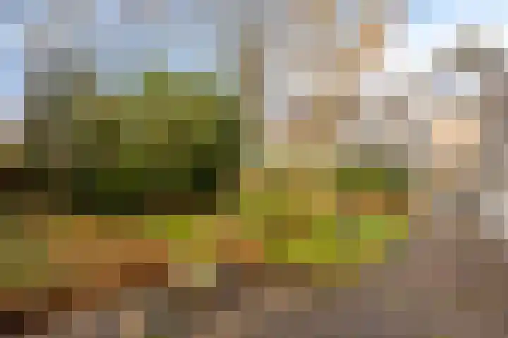 De Noord 27 Ilpendam thumbnail 33
