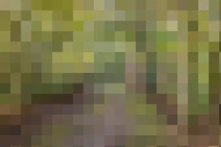De Noord 27 Ilpendam thumbnail 48