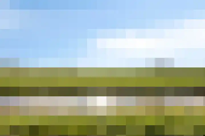 De Noord 27 Ilpendam thumbnail 51