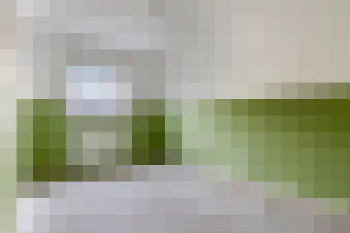 De Noord 48 A Dronten thumbnail 11