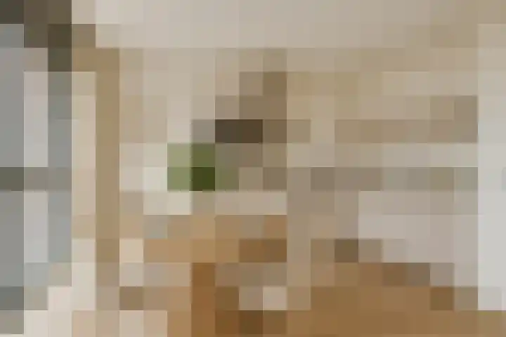 De Noord 50 D Dronten thumbnail 15