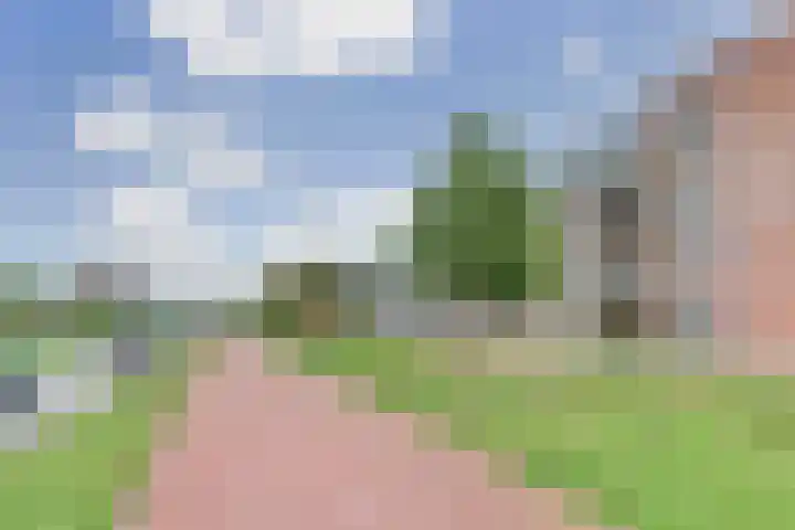 De Noord 50 D Dronten thumbnail 28
