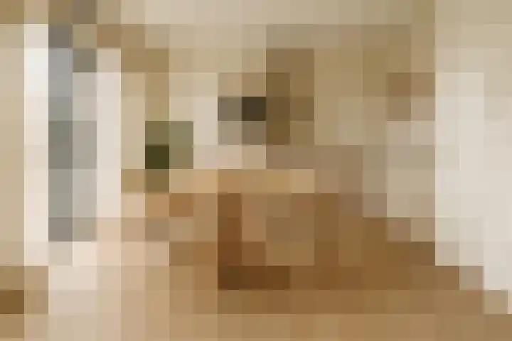 De Noord 50 D Dronten thumbnail 31