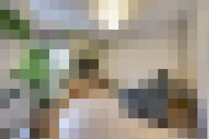 De Noord 50 E Dronten foto 2