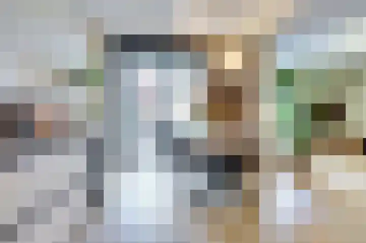 De Noord 50 E Dronten thumbnail 9