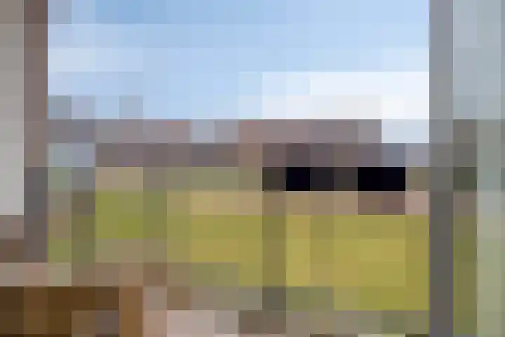 De Noord 56 C Dronten thumbnail 21