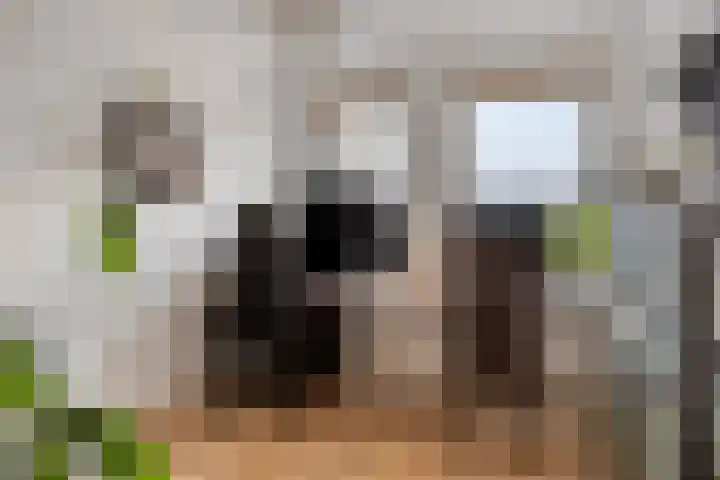 De Noord 58 C Dronten thumbnail 16