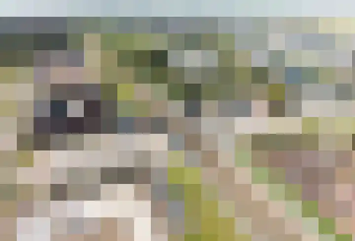 De Noord 62 A Dronten thumbnail 30