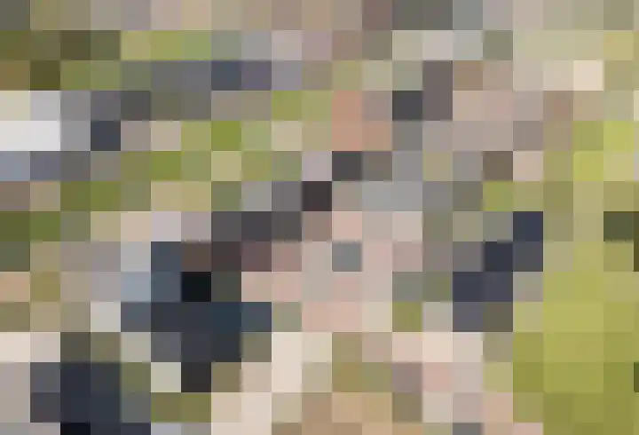 De Noord 62 A Dronten thumbnail 33