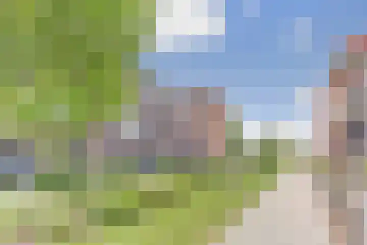 De Noord 64 C Dronten thumbnail 25