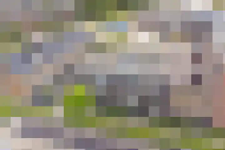 De Noord 64 C Dronten thumbnail 27