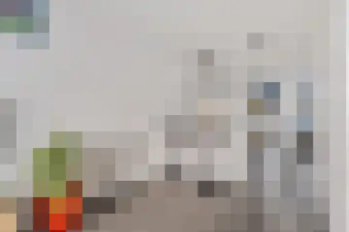 De Noord 64 E Dronten thumbnail 16