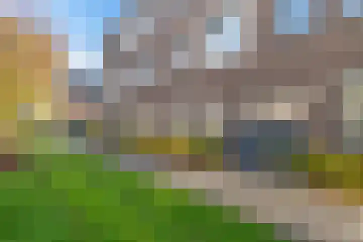 De Noord 64 E Dronten thumbnail 5