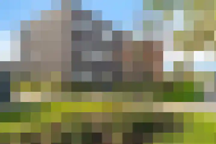 De Noord 64 E Dronten thumbnail 6