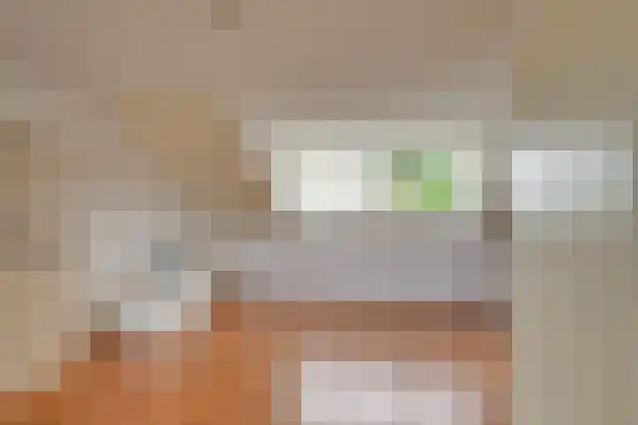 De Noorderhoek 10 Poeldijk thumbnail 28