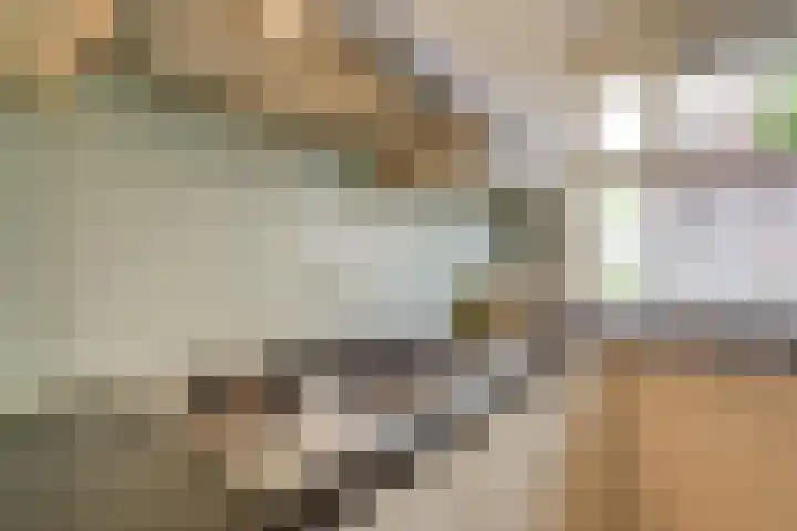 De Noorderhoek 10 Poeldijk thumbnail 7