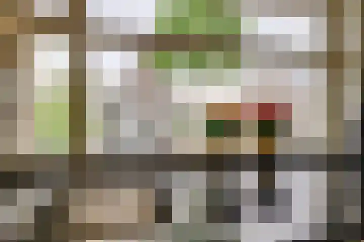 De Noorderhoek 10 Poeldijk thumbnail 8