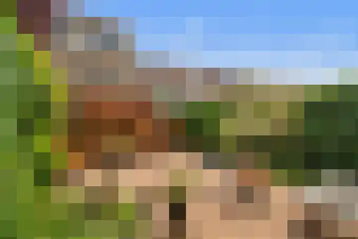De Noorderhoek 17 Poeldijk thumbnail 38