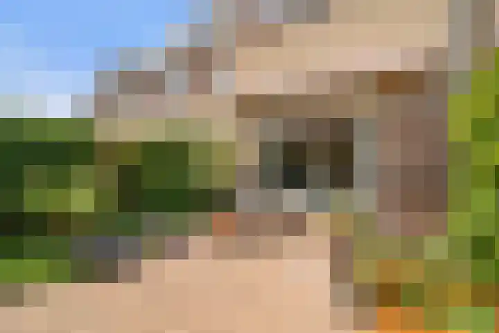 De Noorderhoek 17 Poeldijk thumbnail 39