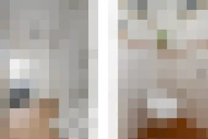De Nova Cura 140 Drachten thumbnail 17