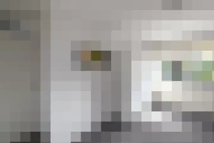 De Nova Cura 140 Drachten thumbnail 24