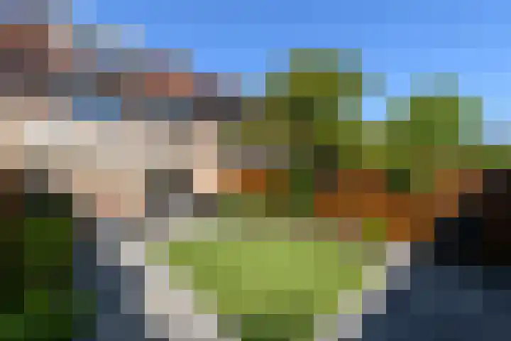 De Nova Cura 140 Drachten thumbnail 36