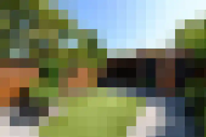 De Nova Cura 140 Drachten thumbnail 39