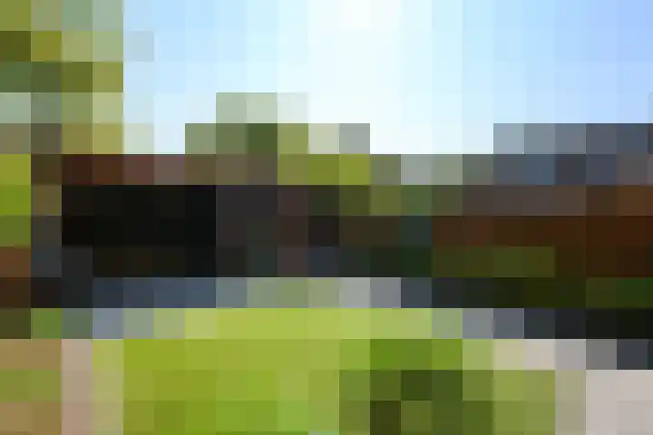 De Nova Cura 140 Drachten thumbnail 40