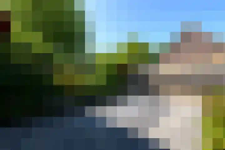 De Nova Cura 140 Drachten thumbnail 44