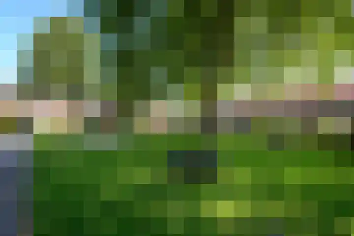 De Nova Cura 140 Drachten thumbnail 46