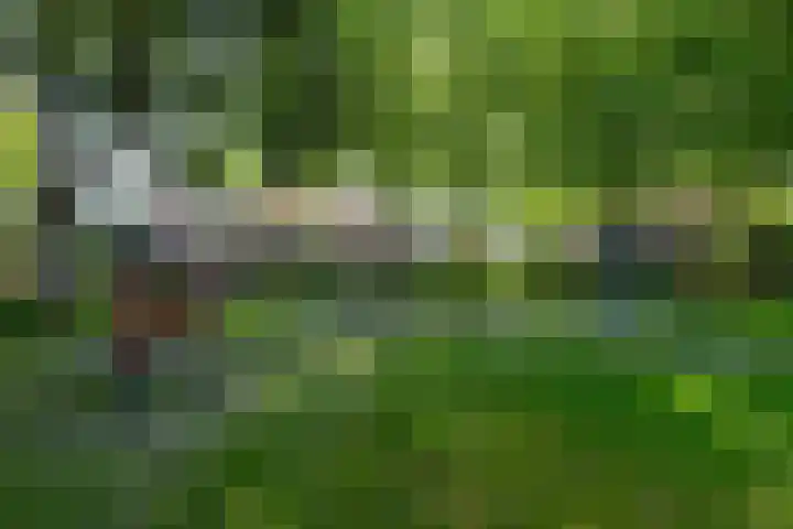 De Nova Cura 140 Drachten thumbnail 47