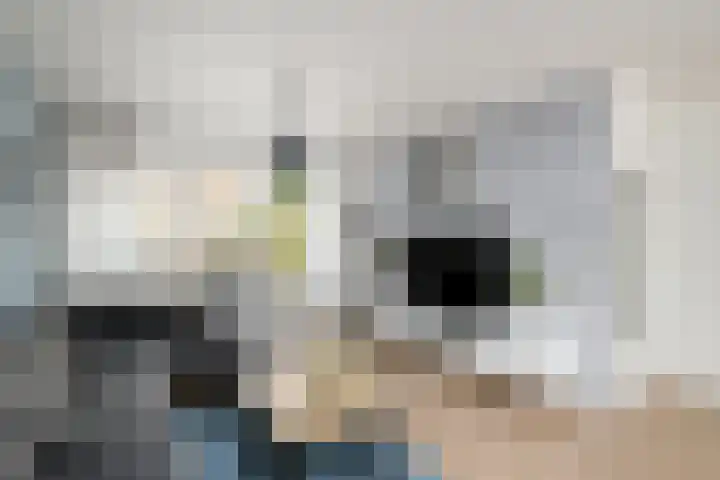 De Nova Cura 140 Drachten thumbnail 6