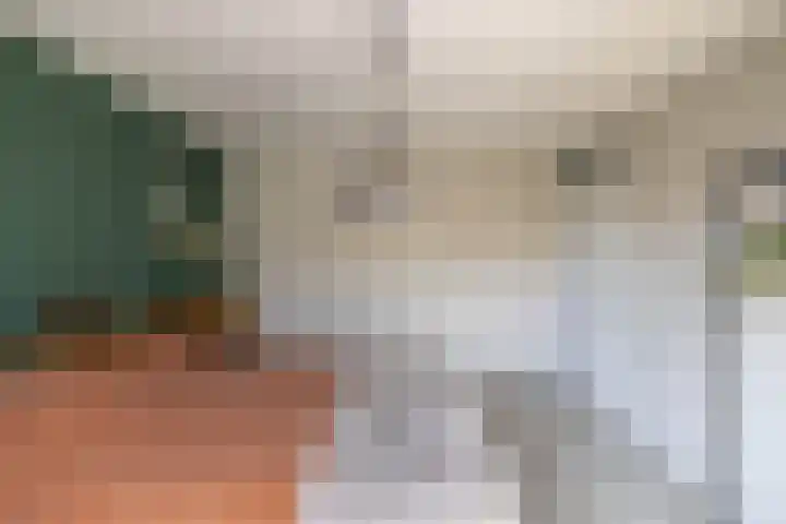 De Nova Cura 263 Drachten thumbnail 22