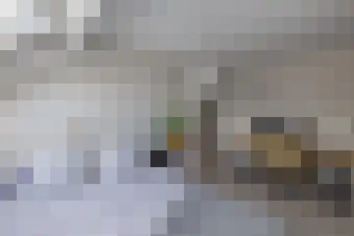 De Nova Cura 263 Drachten thumbnail 29