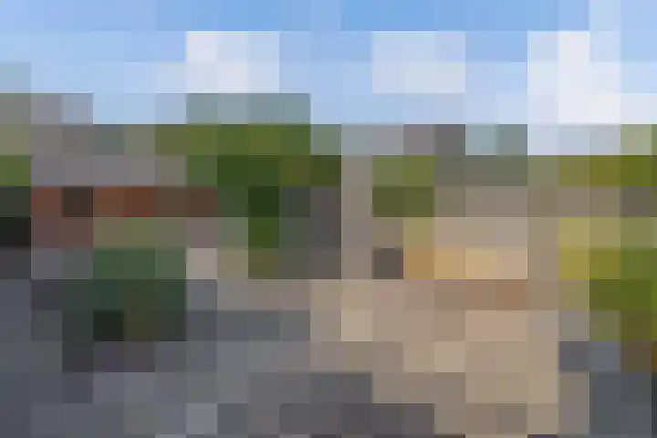 De Nova Cura 263 Drachten thumbnail 40