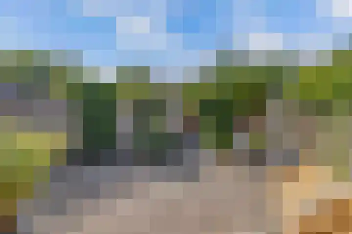 De Nova Cura 263 Drachten thumbnail 41