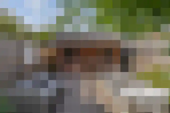 De Nova Cura 263 Drachten thumbnail 43